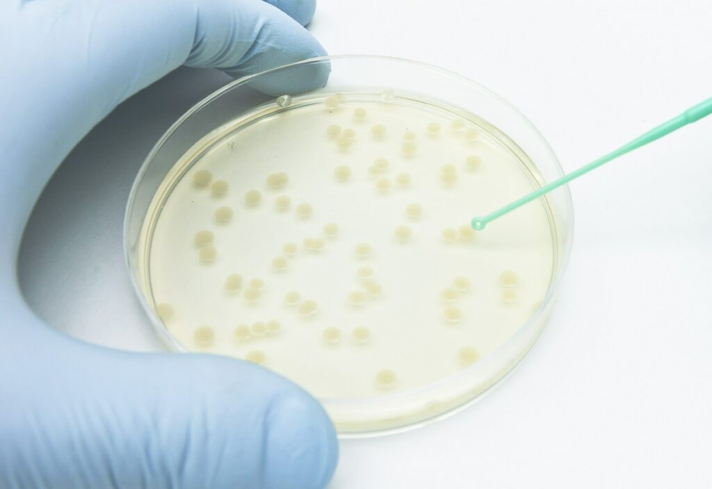 36bb3388-981c-48ae-8ca2-5818f1d419af1-1024x704